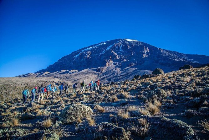 6-Day Rongai Route Trek in Mount Kilimanjaro - Rongai’s north approach: quieter, wilder, and built for pacing