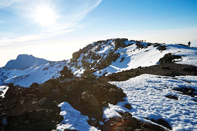 6-Day Rongai Route Trek in Mount Kilimanjaro - Day 6: Horombo down to Marangu Park Gate and back to Moshi (or Arusha)