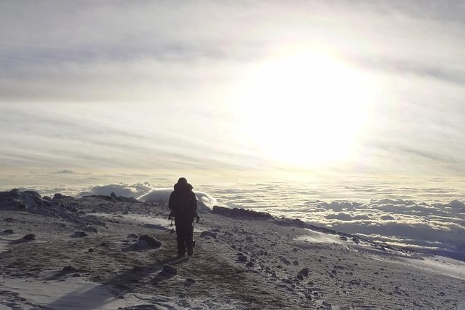 6-Day Rongai Route Trek in Mount Kilimanjaro - What you’re really paying for at $2,353 per person