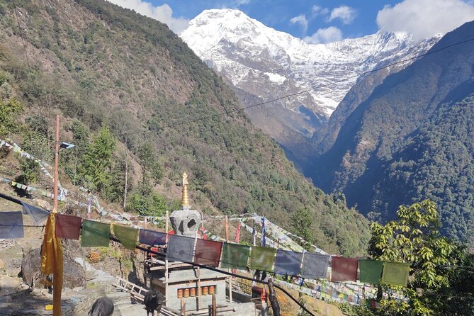 6 days Annapurna Basecamp Trek - Guide-led safety: what you should expect and what you can do