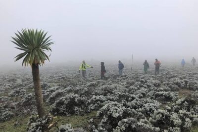 6 Days Bale Mountains Trekking - Price and value: is $488 “fair” for what’s included?