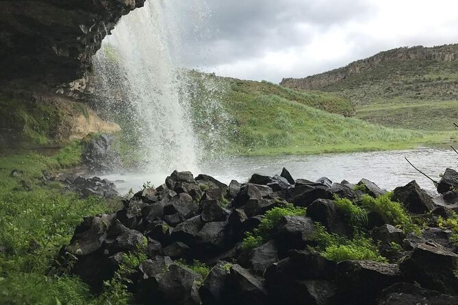 6 Days Bale Mountains Trekking - Day-by-day: Dinsho HQ to Sodota, Wasema, and Harenna Forest