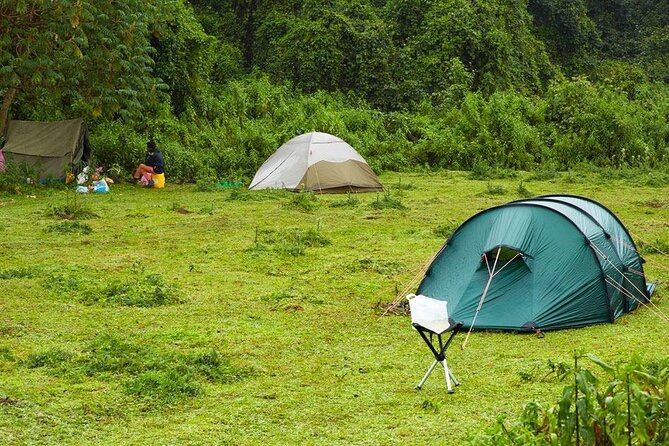6 Days Bale Mountains Trekking - Wildlife and birding: what to focus on each day