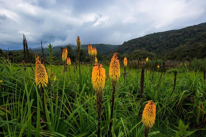 6 Days Bale Mountains Trekking - Practical tips that matter more than fancy gear