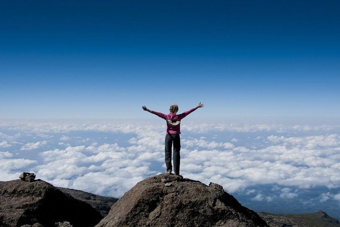6 Days Mount Kilimanjaro Trek Marangu Route - Price and value: what $2,350 buys you