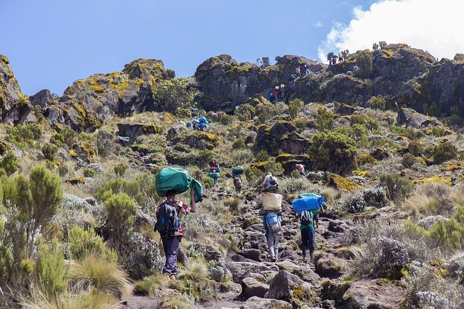 6 Days Mount Kilimanjaro Trek Marangu Route - Day 3 acclimatization at Horombo: Zebra Rock or Mawenzi Ridge