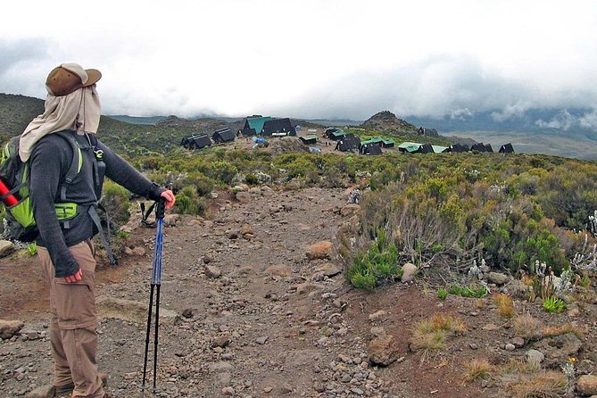 6 Days Mount Kilimanjaro Trek Marangu Route - Day 1 from Marangu Gate to Mandara Hut in rainforest green