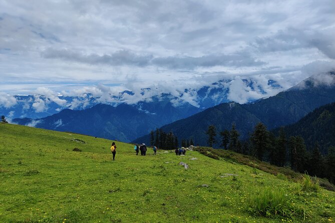 6 Days Phulara Ridge Trek - Pushtara Bugyal descent: meadow walking that refreshes your legs