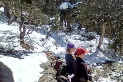 6 Days Poon Hill - Ghandruk Circuit Trek from Kathmandu - Ulleri to Ghorepani: Rhododendron Forests and View-First Trek Days