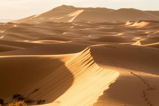 6 days trekking To The heart of Desert - Across Lahdybat and the Draa Valley: tamarisk roads and wild-camel country