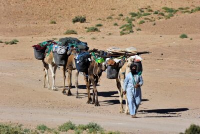 6 days trekking To The heart of Desert - Erg Zahar day: mixed ground, a hard-working schedule, and sunset rewards