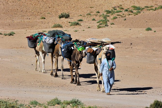 6 days trekking To The heart of Desert - Erg Zahar day: mixed ground, a hard-working schedule, and sunset rewards