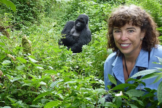 6 Days Uganda Gorilla, Chimps Trekking and Wildlife Safari - The route logic: Kampala base, western Uganda highlights, and an end at Entebbe