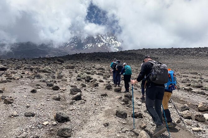 7-Day Kilimanjaro Trekking Tour via Machame Route - Moshi base camp: starting calm before the mountain gets loud