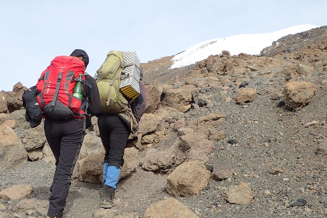 7-Day Kilimanjaro Trekking Tour via Machame Route - Price and value: $2,850 makes sense only if you want the full system