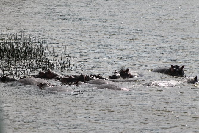 7-Day Murchison Falls, Chimps & Gorilla Trekking - How This 7-Day Route Fits Together