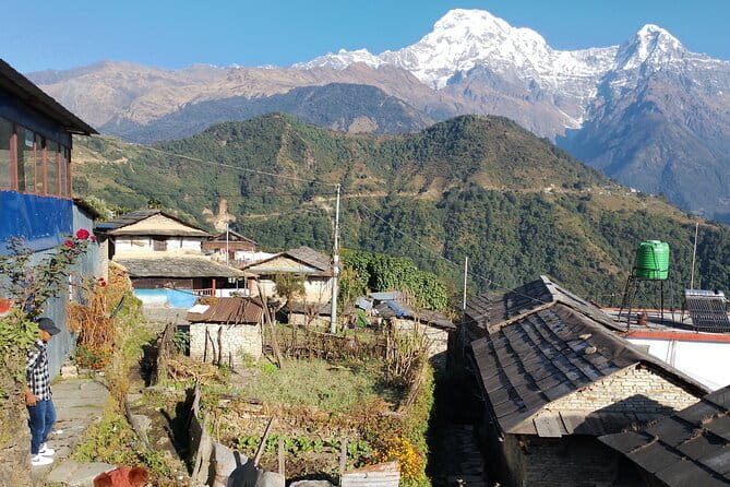7-Day Trek to Annapurna Base Camp from Pokhara - Day 2: Ghandruk to Upper Sinuwa, the first real climb