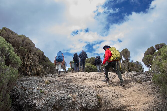 7 Day Trek To The Roof Of Africa Kilimanjaro via Machame Route - Tents, Meals, and Sleeping Comfort at Altitude