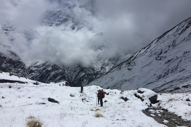 7 Days Annapurna Base Camp Trek from Pokhara - Day Four: Machhapuchhare Base Camp and the Final Lift to Annapurna Base Camp