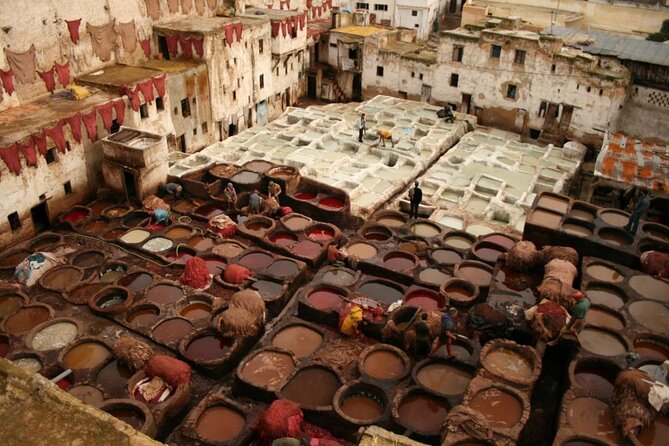 7-days: Casablanca to Chefchaouen then Fes and Sahara Desert - Camel Trekking - Key things I’d zero in on