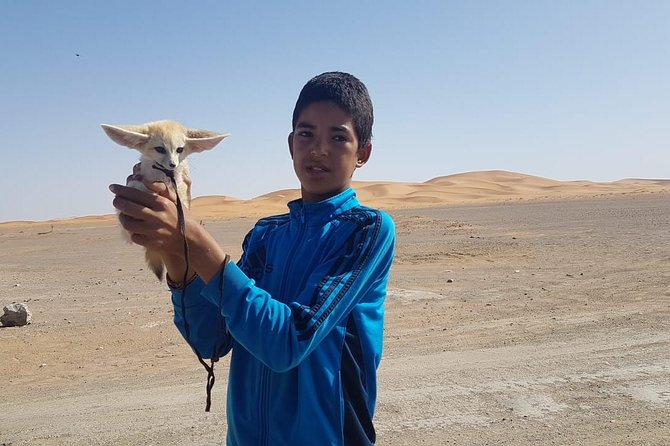 7-days: Casablanca to Chefchaouen then Fes and Sahara Desert - Camel Trekking - Merzouga desert day: Lake Merzouga, Khamlia Berber pizza, and camel trekking