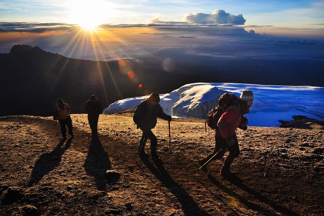7 Days Kilimanjaro trek via Machame route - Key highlights that matter before you go