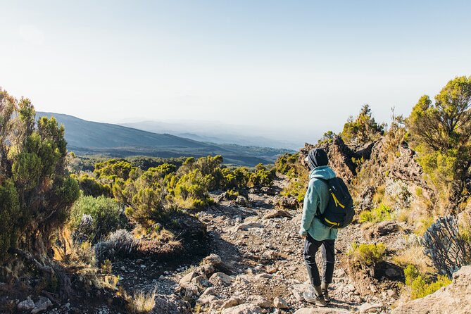 7 Days Kilimanjaro trek via Machame route - Day 6: summit push from midnight to Uhuru Peak via Stella Point