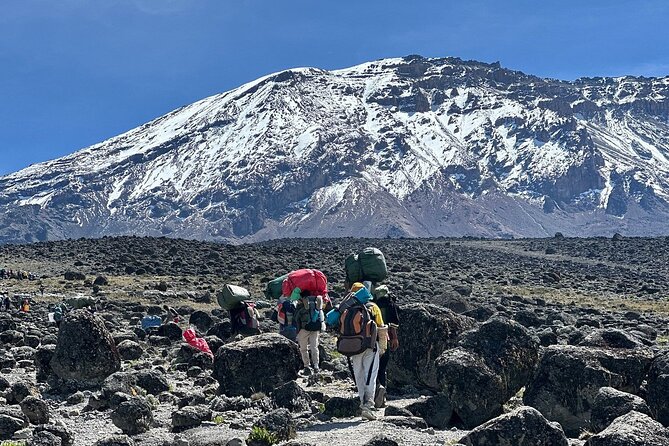 7 Days Kilimanjaro Trekking Machame Route - Key Things I’d Bet You’ll Care About
