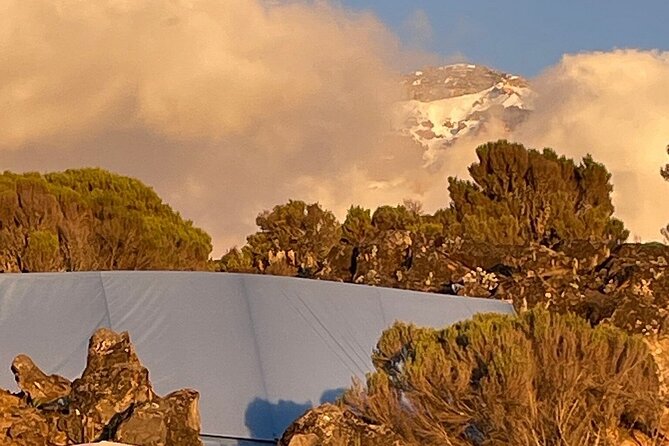 7 Days Kilimanjaro Trekking Machame Route - Getting to Moshi and Settling In Before Day 1