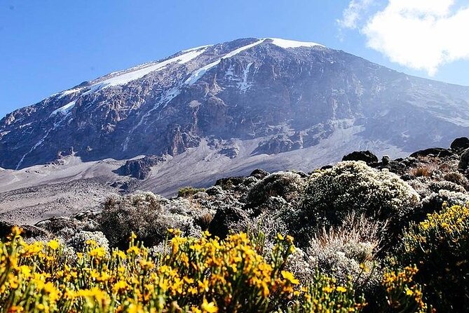 7 Days Kilimanjaro Trekking Machame Route - Day 2 to Shira 2 Camp: Leaving the Forest for Moorland