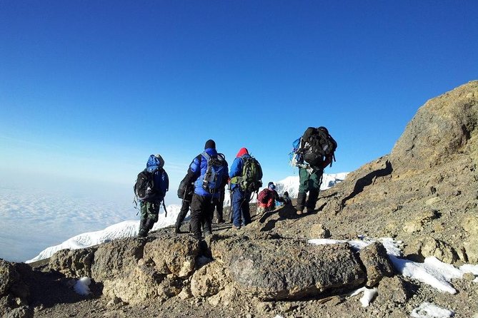 7 Days Kilimanjaro Trekking Machame Route with Professional Guide - Arusha warm-up: lodge nights, briefing, and getting ready right