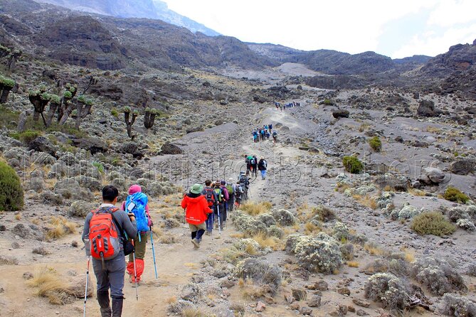 7 Days Kilimanjaro Trekking Machame Route with Professional Guide - Day 3: Shira Plateau approach and big Mt. Meru views