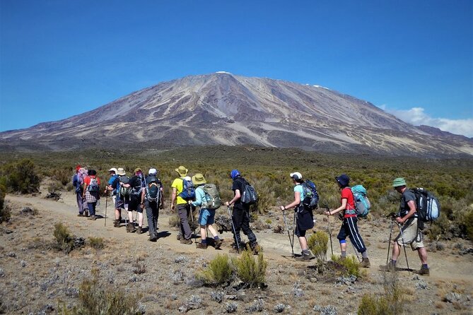 7 Days Kilimanjaro Trekking Machame Route with Professional Guide - Day 4: Lava Tower lunch and Barranco Camp with cliff shelter
