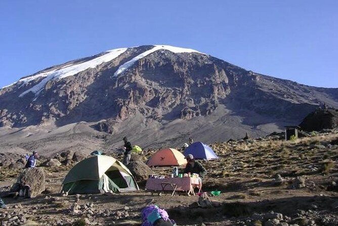 7 Days Kilimanjaro Trekking Machame Route with Professional Guide - Day 7: 1 a.m. start to Stella Point sunrise, then optional Uhuru Peak