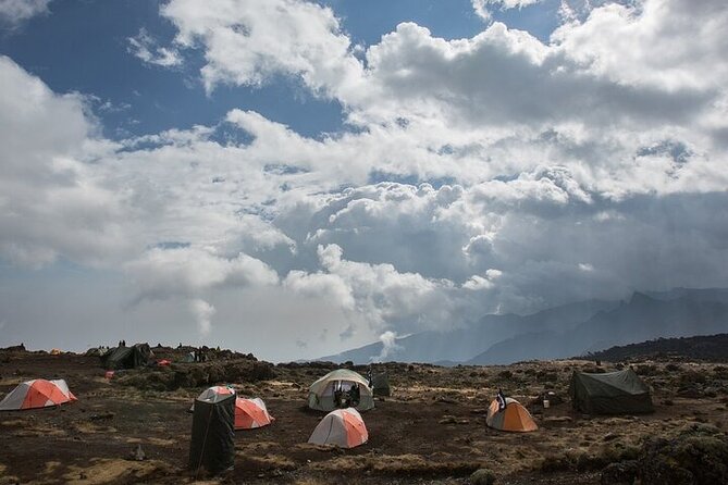 7 Days Kilimanjaro Trekking Machame Route - Day 1 in the Montane Forest: Machame Gate to Campsite