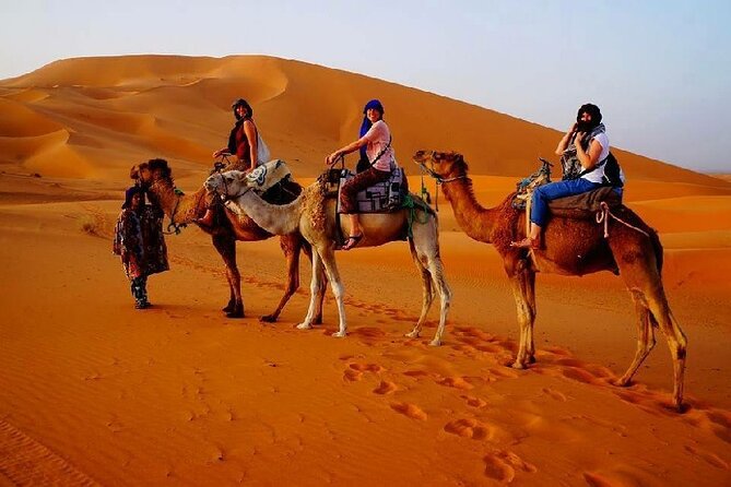 7 Days Luxury Desert Tour From Casablanca to Marrakech via fez -Camel trekking - Marrakech after sundown: palaces by day, Jamaa el Fna at night