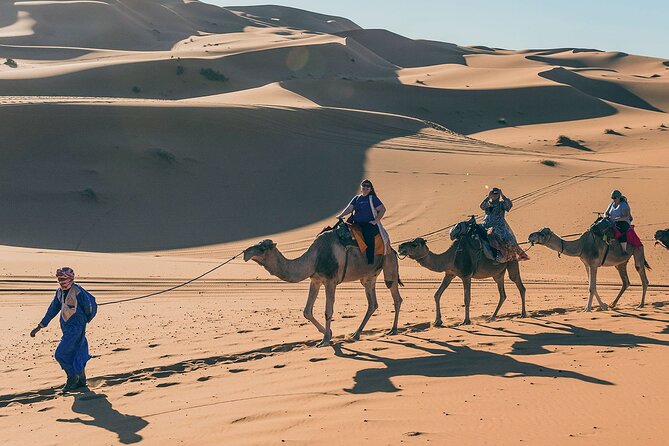7 Days Luxury Desert Tour From Casablanca to Marrakech via fez -Camel trekking - The Middle Atlas to Merzouga: Ifrane, cedar forests, fossils, then dunes