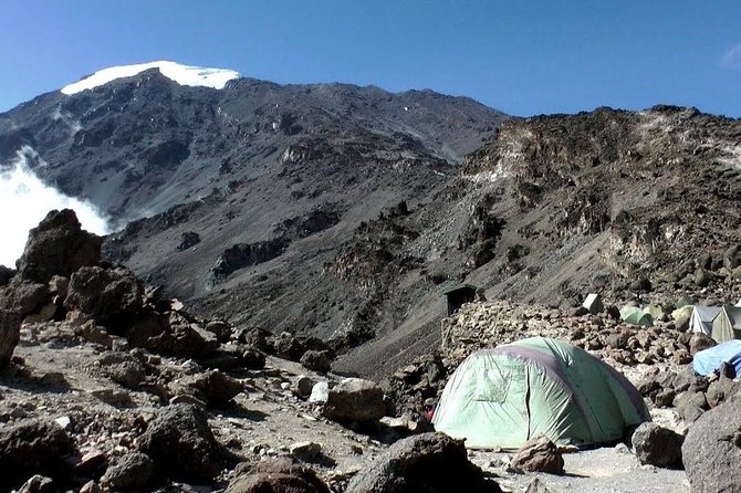 7 Days Machame Route Kilimanjaro Trekking - Shira Plateau to Shira Camp (3840m): Moorland Views and a Cold Reality Check