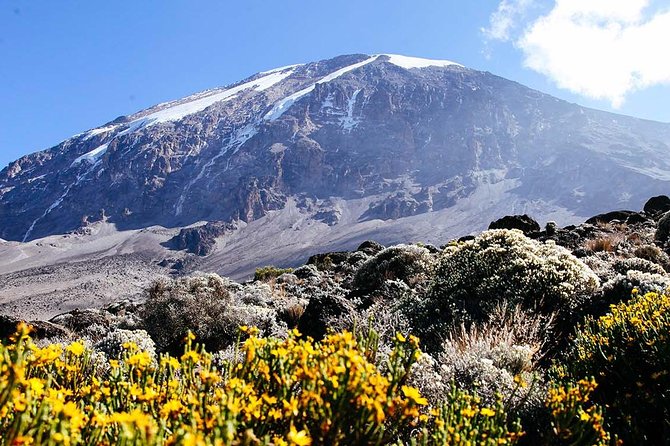7 Days Machame Route Trek Mount Kilimanjaro - Why the 7-day Machame Route feels like a real challenge
