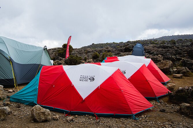 8 Day Kilimanjaro Trek via Lemosho Route - Key highlights worth knowing before you go