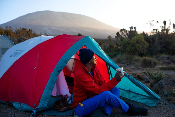 8 Day Kilimanjaro Trek via Lemosho Route - Summit morning reality check: how to handle the hardest part