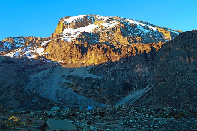 8 Day Kilimanjaro Trek via Lemosho Route - Should you book this 8-day Lemosho Kilimanjaro trek?