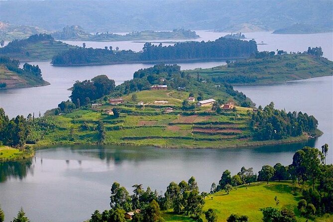 8-Day Murchison Falls, Chimp and Epic Gorilla Trekking - Ishasha tree-climbing lions to Bwindi: a detour worth the road time
