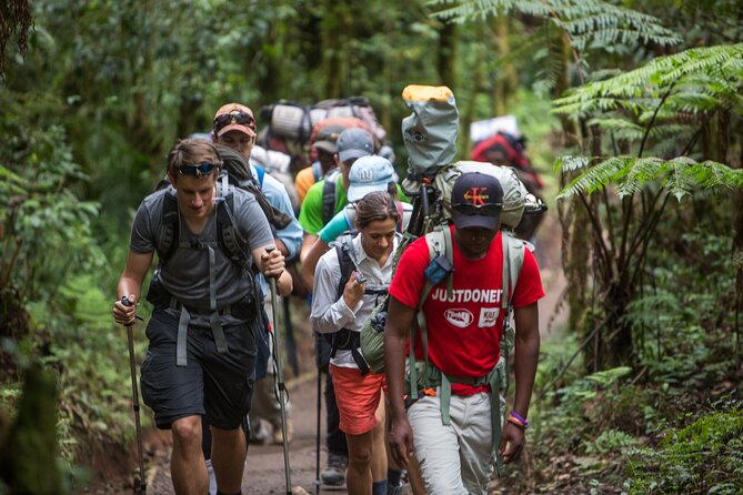 8-Day Small-group Lemosho Kilimanjaro Summit Trekking - Barranco Valley, Karanga Valley, and the Arctic-Feeling Transition (Day 5)