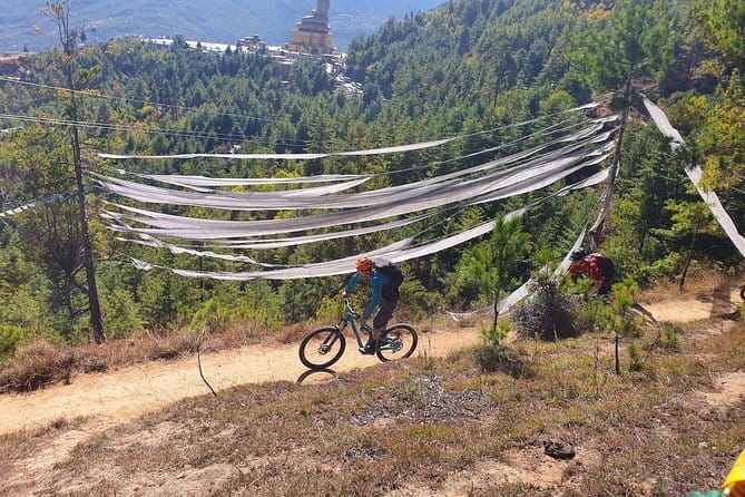 8 Days Bhutan Cultural Tour with 2-Day Bumdrak Trek - Day 3: Dochula Pass viewpoints, Punakha Dzong, and a suspension bridge walk