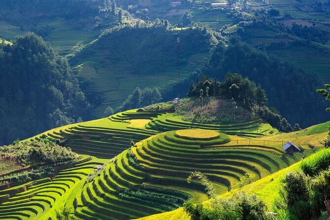 8-Days Hanoi, Sapa Trekking And Halong Bay Cruise - Hanoi: Arrive in the Old Quarter, Not in a Logistics Headache