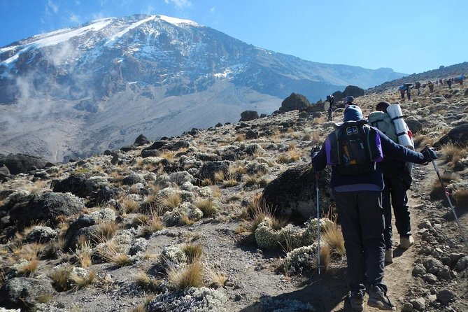 8 Days Lemosho Route Kilimanjaro Trekking - Key Highlights You’ll Actually Feel on the Trail