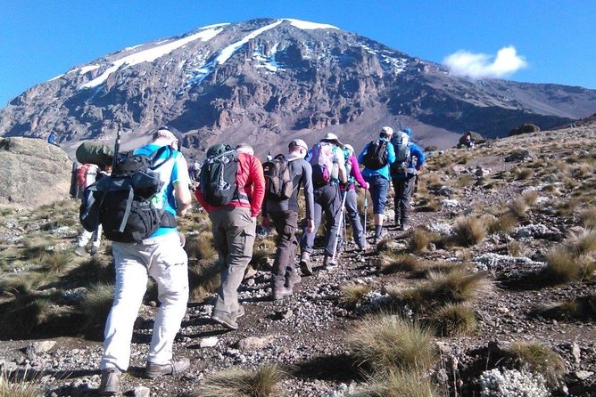 8 Days Lemosho Route Kilimanjaro Trekking - Lemosho’s Advantage: Big Variety, Better Crowd Timing