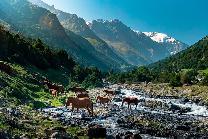 8 Days Private Tour at Lenin Peak Base Camp Trek - Price and What You’re Actually Buying for $1,400