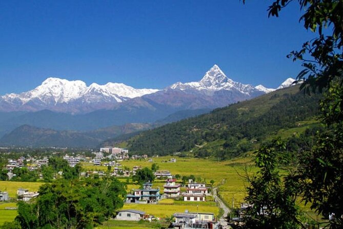 8 Days Short Trek and Tour in Nepal - Dhampus and Australian Camp: the soft hike that still feels meaningful